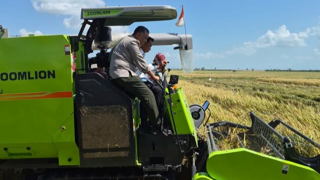 Panen Perdana PM-AAS di Sidrap Lampaui Target, Hasil Capai 11,2 Ton per Hektare Panen Perdana PM-AAS di Sidrap Lampaui Target, Hasil Capai 11,2 Ton per Hektare