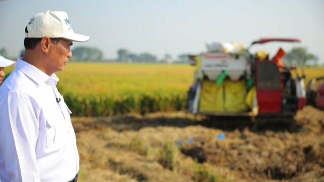 Mentan Amran: PM-AAS Gandakan Hasil Panen, Pendapatan Petani Ikut Naik Mentan Amran: PM-AAS Gandakan Hasil Panen, Pendapatan Petani Ikut Naik
