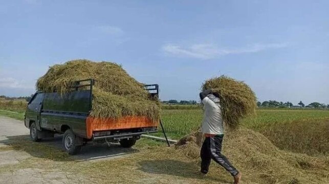 Lewat Mekanisasi, Kementan Upayakan Residu Tanaman Miliki Nilai Tambah
